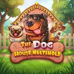The Dog House Multihold game at BSB007 Casino for Australian players